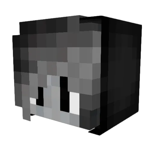 BitteN3chtBannen Minecraft avatar head, 3D render