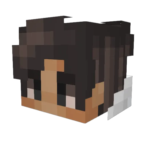 BitterBird Minecraft avatar head, 3D render