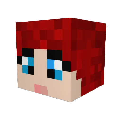 BitterBoomerang Minecraft avatar head, 3D render