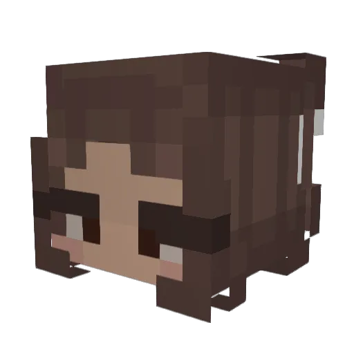 BitterMichii Minecraft avatar head, 3D render