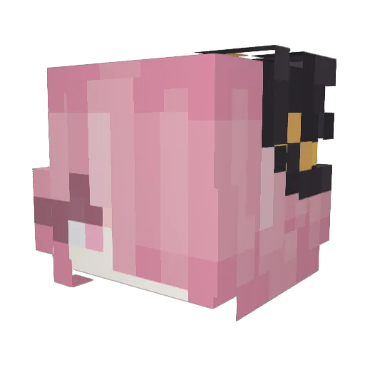 BitterPetter Minecraft avatar head, 3D render