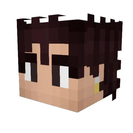 BitterSweet20 Minecraft avatar head, 3D render