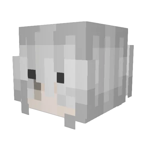Bitterlywinter Minecraft avatar head, 3D render
