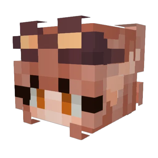 Bitternesss Minecraft avatar head, 3D render