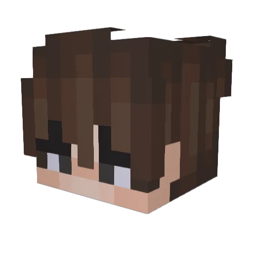 Bittt15 Minecraft avatar head, 3D render