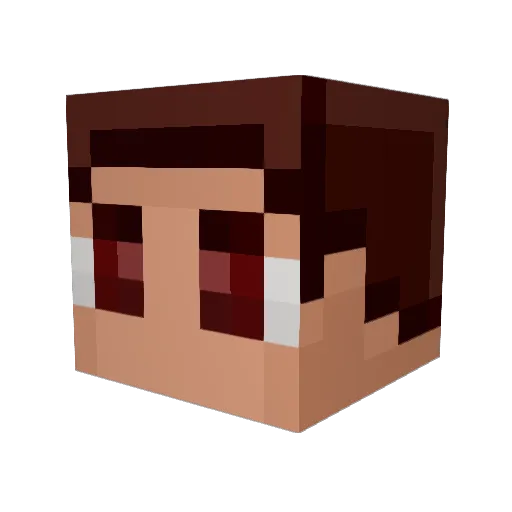 Bitz Minecraft avatar head, 3D render