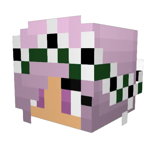 Bitz___ Minecraft avatar head, 3D render