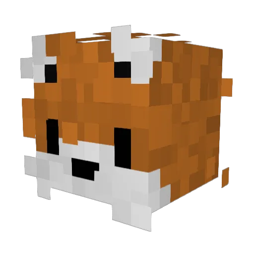 BiuBiu204 Minecraft avatar head, 3D render