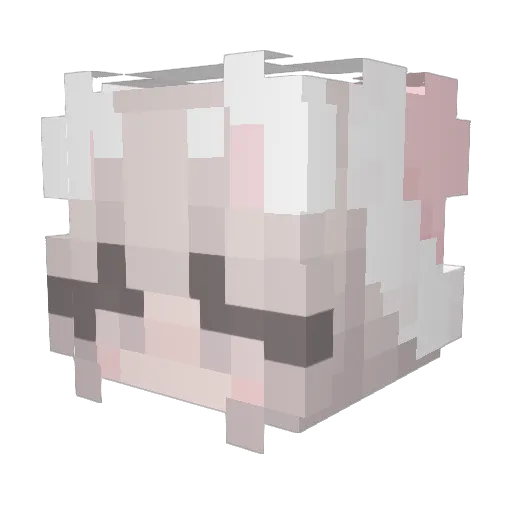 Biubiubiu429 Minecraft avatar head, 3D render
