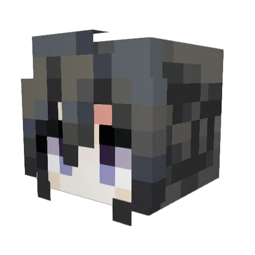 Biurlcy Minecraft avatar head, 3D render