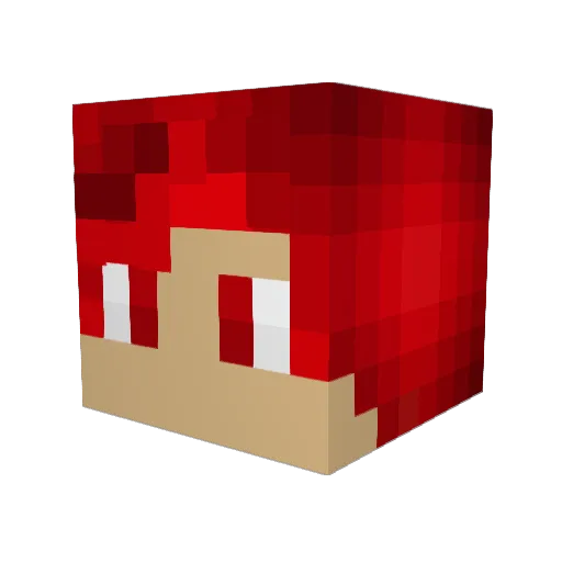 Bivan99 Minecraft avatar head, 3D render