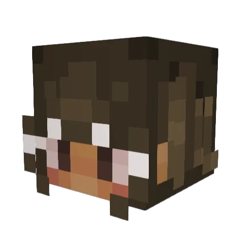 Bix123 Minecraft avatar head, 3D render