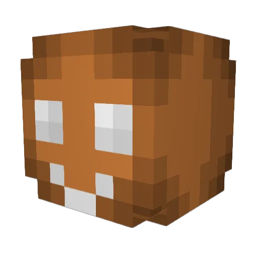 Bixerz Minecraft avatar head, 3D render