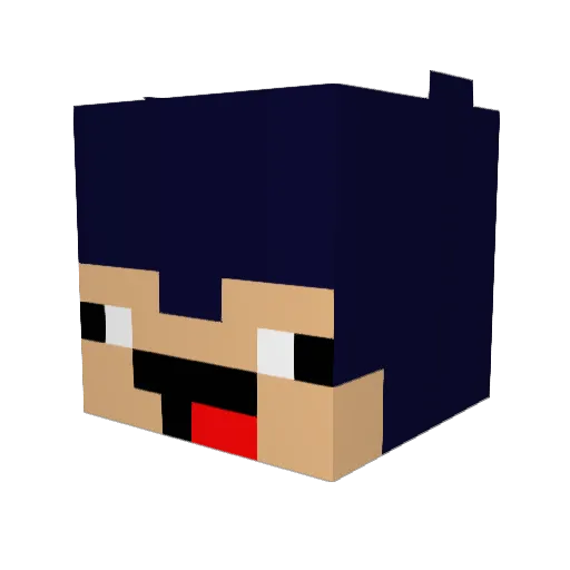 Bixstar Minecraft avatar head, 3D render