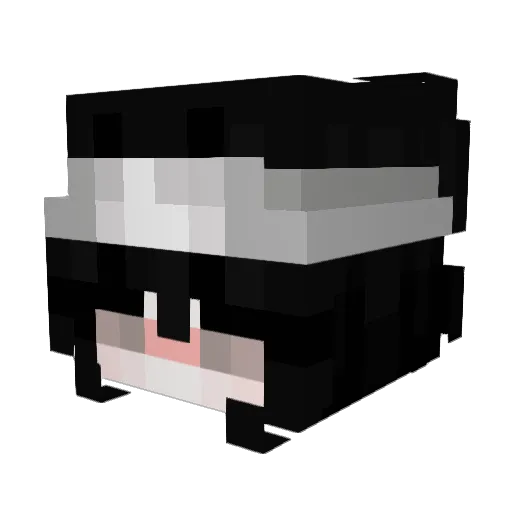 BiyoOyuncu Minecraft avatar head, 3D render