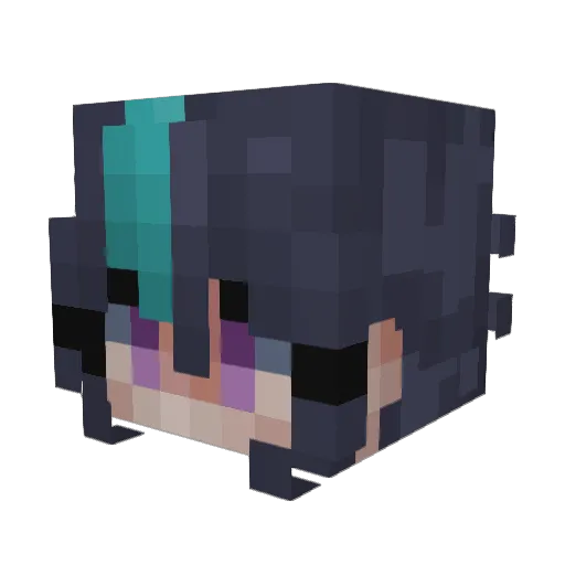 Biz_Bee Minecraft avatar head, 3D render