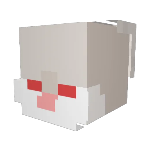 Biz___ Minecraft avatar head, 3D render