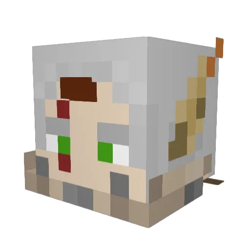 BizarreCoyote Minecraft avatar head, 3D render