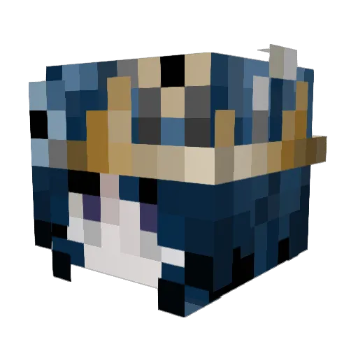 BizarreFlower20 Minecraft avatar head, 3D render