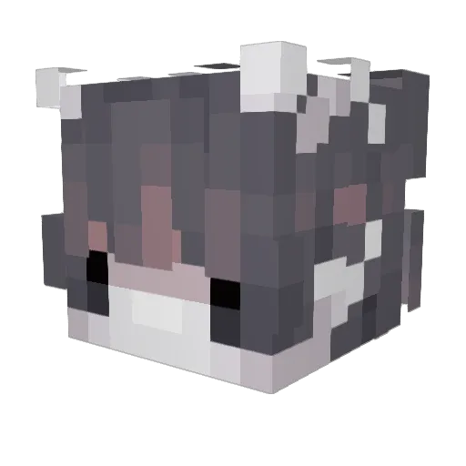 BizarreSizzlin Minecraft avatar head, 3D render
