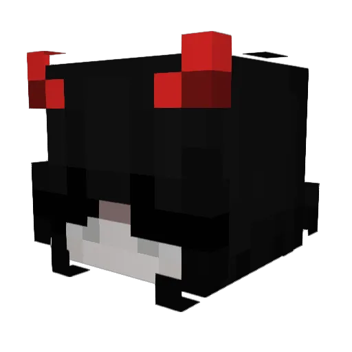 Bizcotte Minecraft avatar head, 3D render