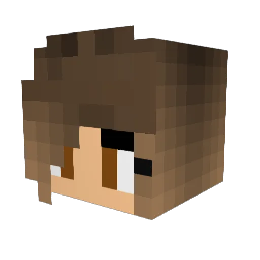 Bizepspower Minecraft avatar head, 3D render