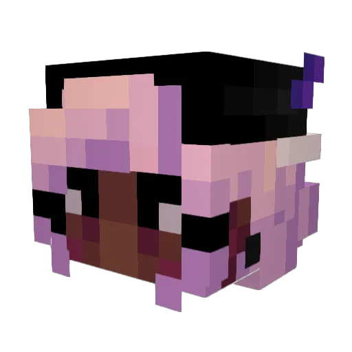 BizmoFunyuns9 Minecraft avatar head, 3D render