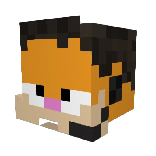 BizmoN Minecraft avatar head, 3D render