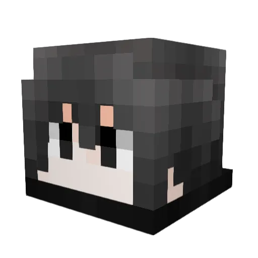 BizyDJ Minecraft avatar head, 3D render