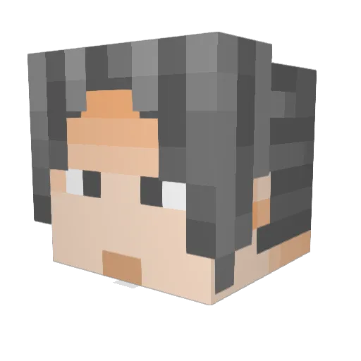 Bizz_Galaxy Minecraft avatar head, 3D render