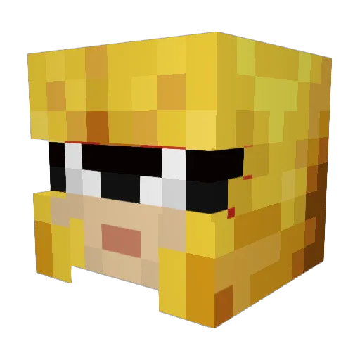 Bizza___ Minecraft avatar head, 3D render