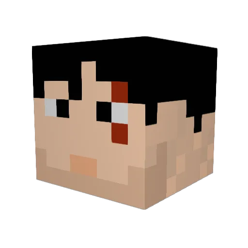 BizzareSamsa Minecraft avatar head, 3D render