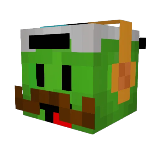 Bizzaro_Turtle Minecraft avatar head, 3D render
