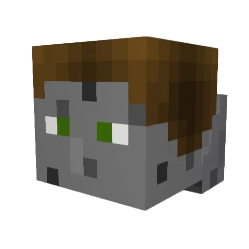 Bizzfx Minecraft avatar head, 3D render