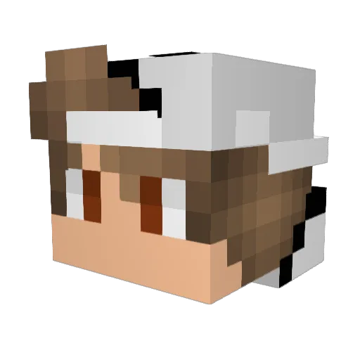 Bizzle_1994 Minecraft avatar head, 3D render