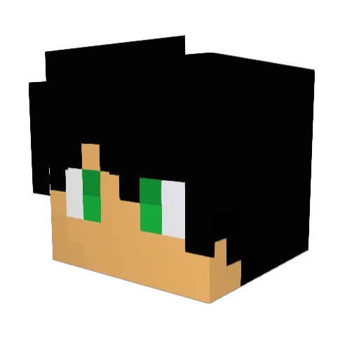 Bizzo00 Minecraft avatar head, 3D render