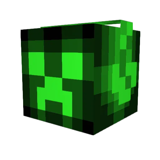 Bizzy Minecraft avatar head, 3D render