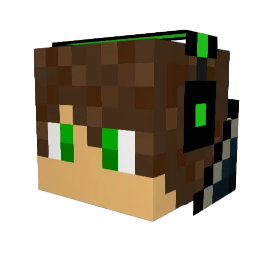 Bizzykid Minecraft avatar head, 3D render