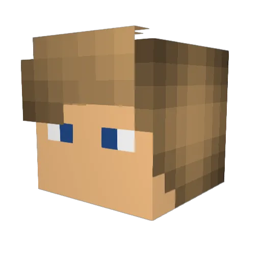 Bjamin_1 Minecraft avatar head, 3D render