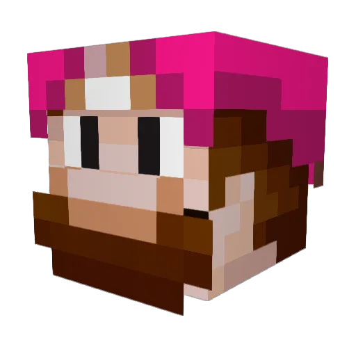 BjarkiBjarki Minecraft avatar head, 3D render