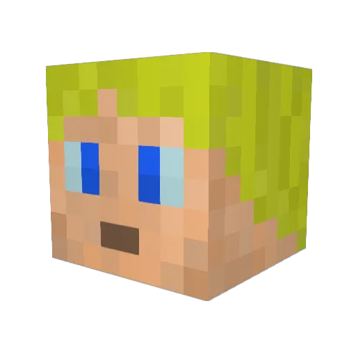Bjarn_e Minecraft avatar head, 3D render