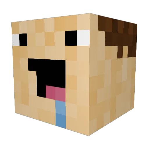 BjerMa Minecraft avatar head, 3D render