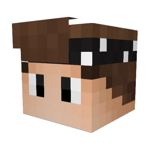 BjkMarlin Minecraft avatar head, 3D render