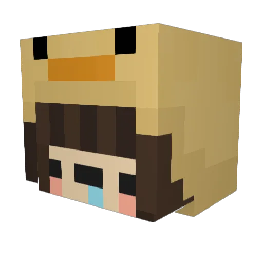 Bjng Minecraft avatar head, 3D render