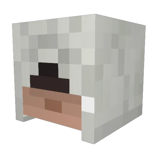 Bjoern0402 Minecraft avatar head, 3D render