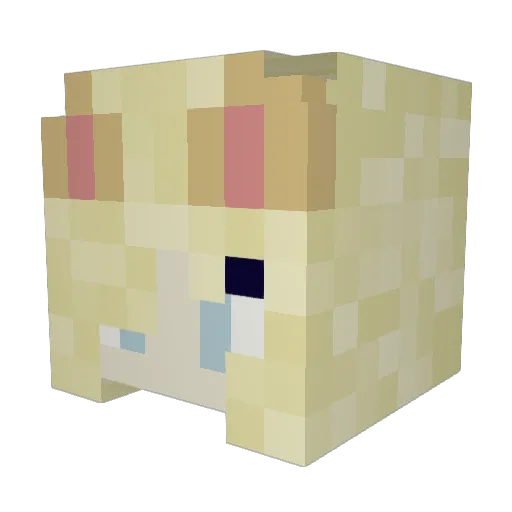 Bjork_420 Minecraft avatar head, 3D render