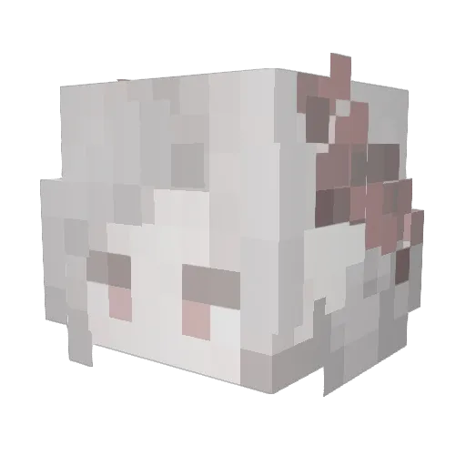 Bjorks_glock Minecraft avatar head, 3D render