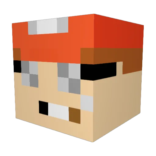 BjorkusBjunior Minecraft avatar head, 3D render