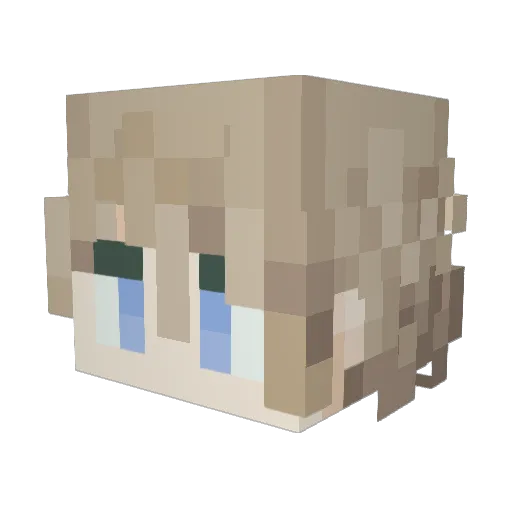 BjornHoek Minecraft avatar head, 3D render