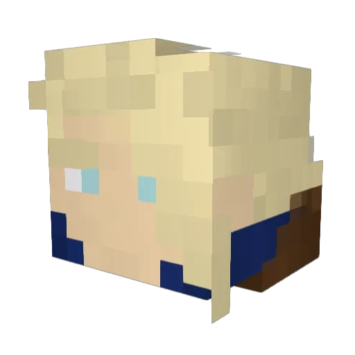 Bjorn_Erling Minecraft avatar head, 3D render